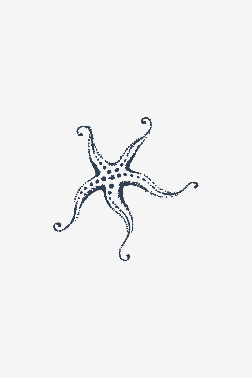 Sea Star 2