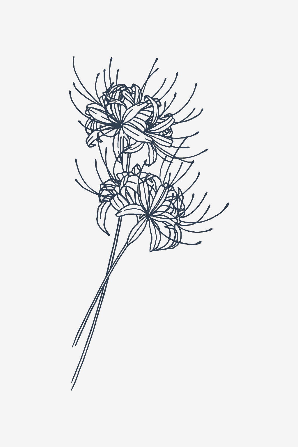 Mystiske Lily