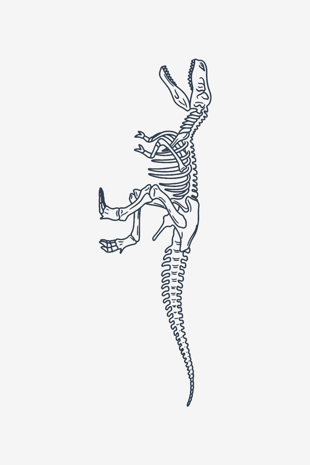 T-Rex skelet
