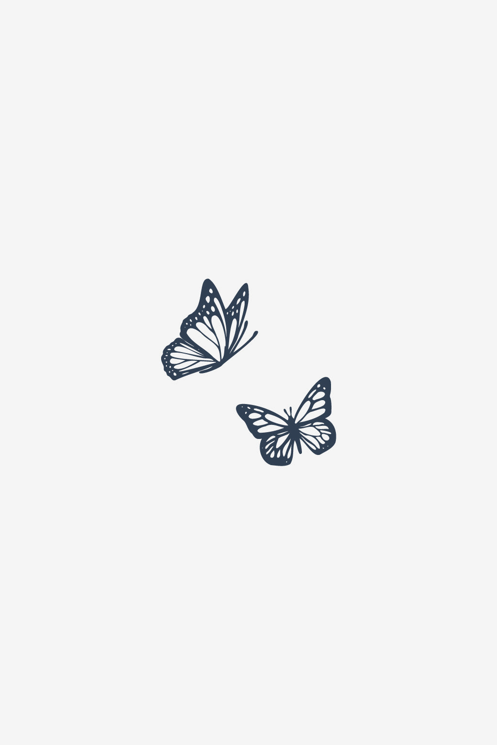 Dobbeltflyvning