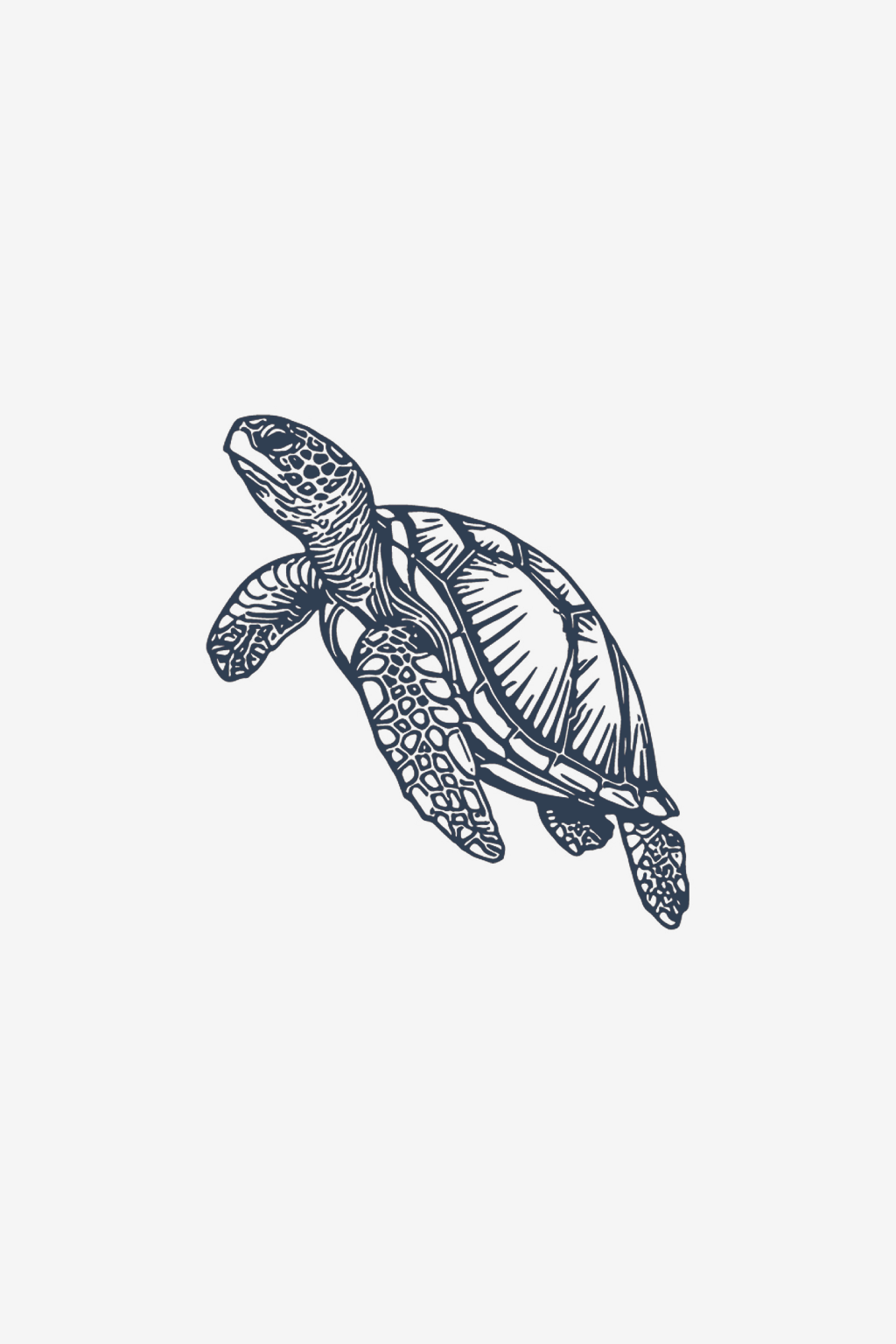 Skildpadden
