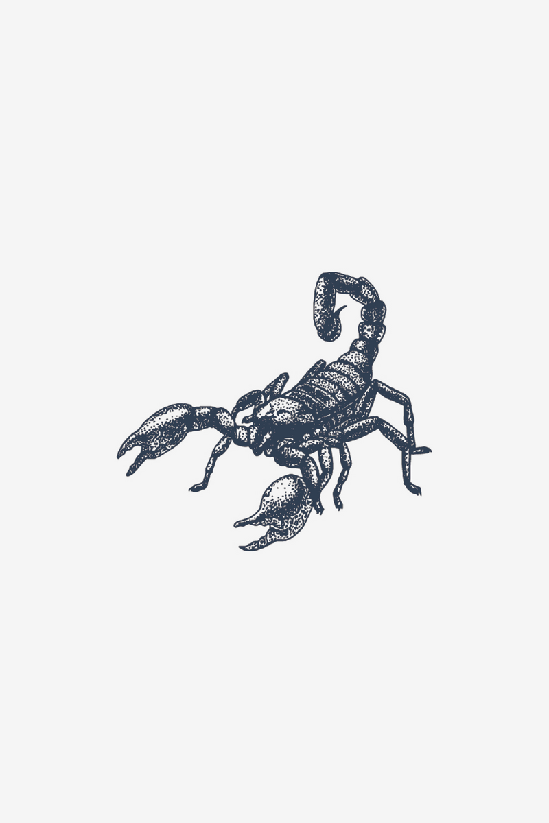 Skorpion