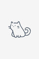Lille kat