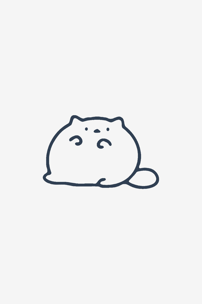 Fluffy katten