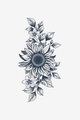 Solar