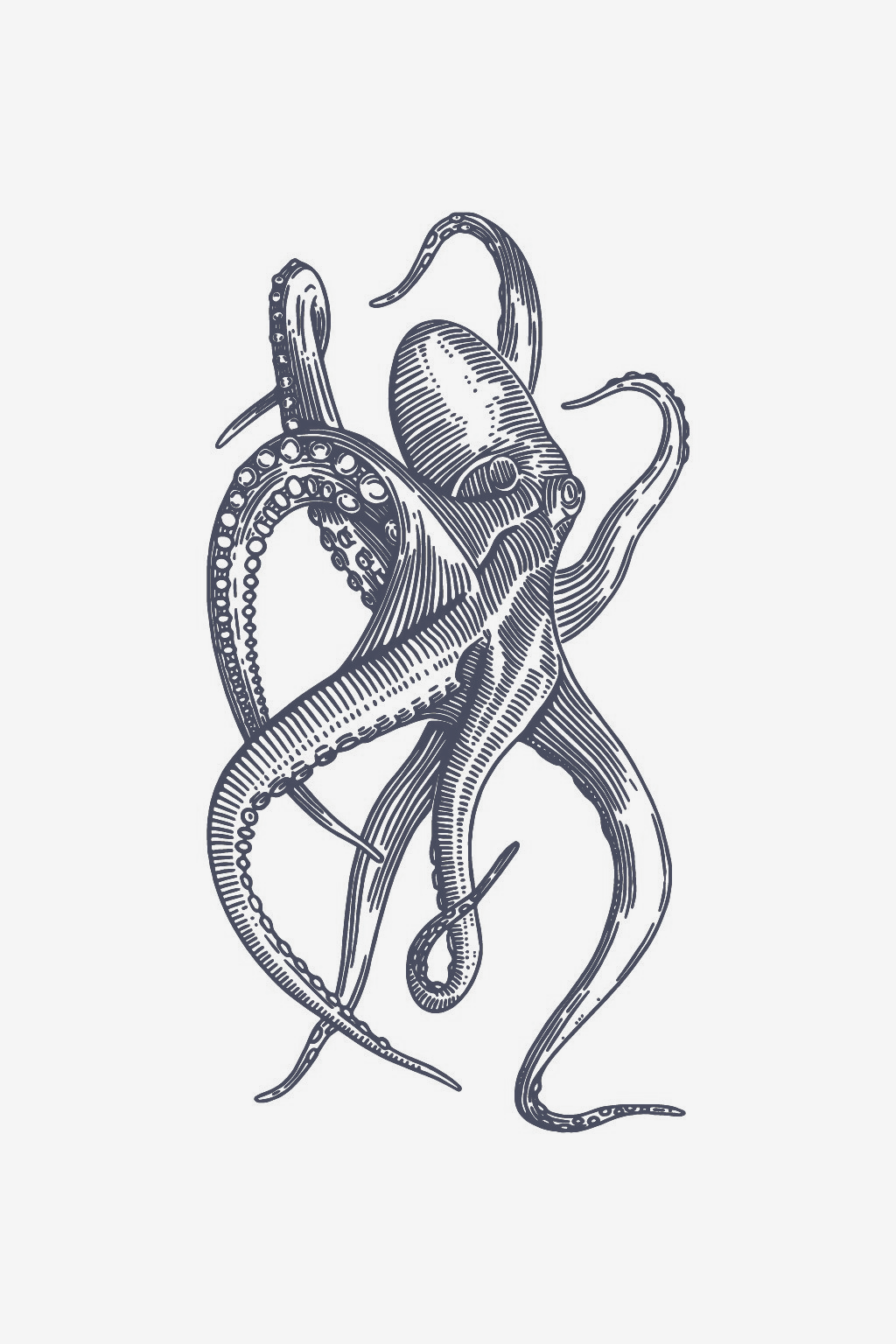 Navy kram
