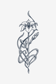 Blomstring