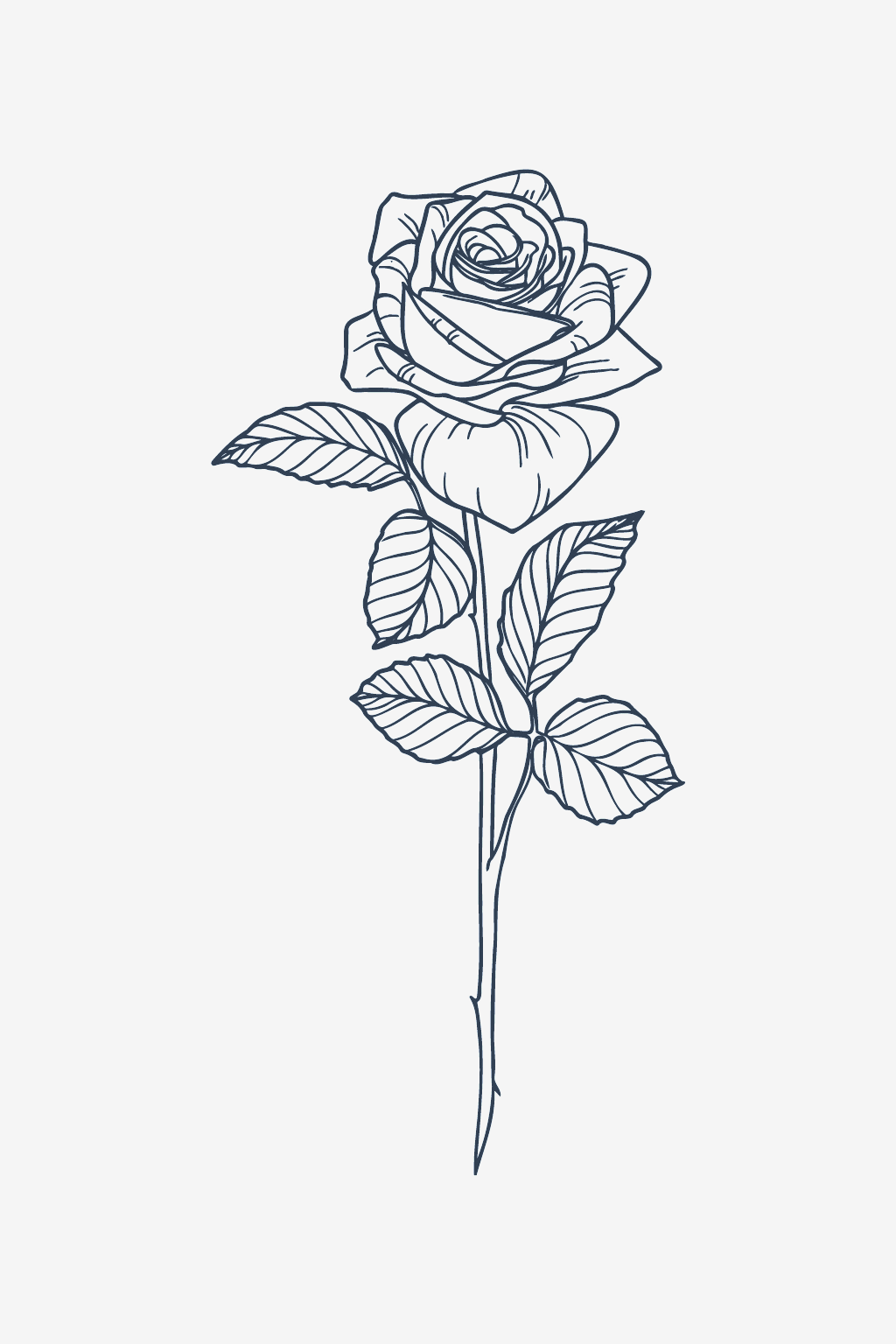Klassisk rose