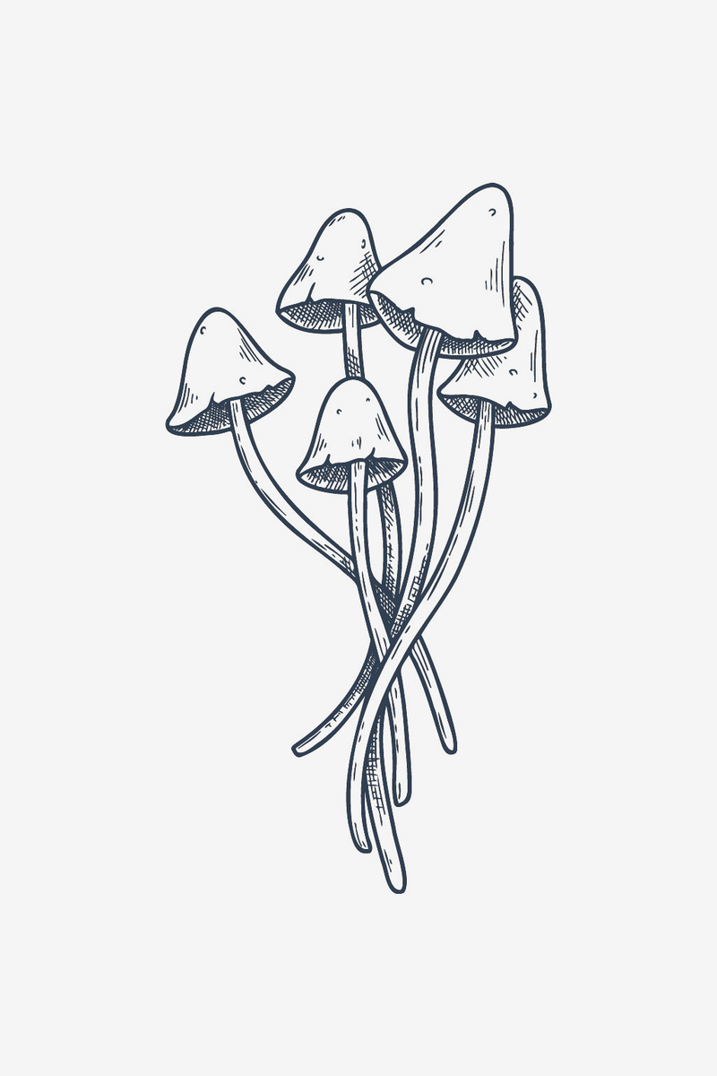 Mystisk