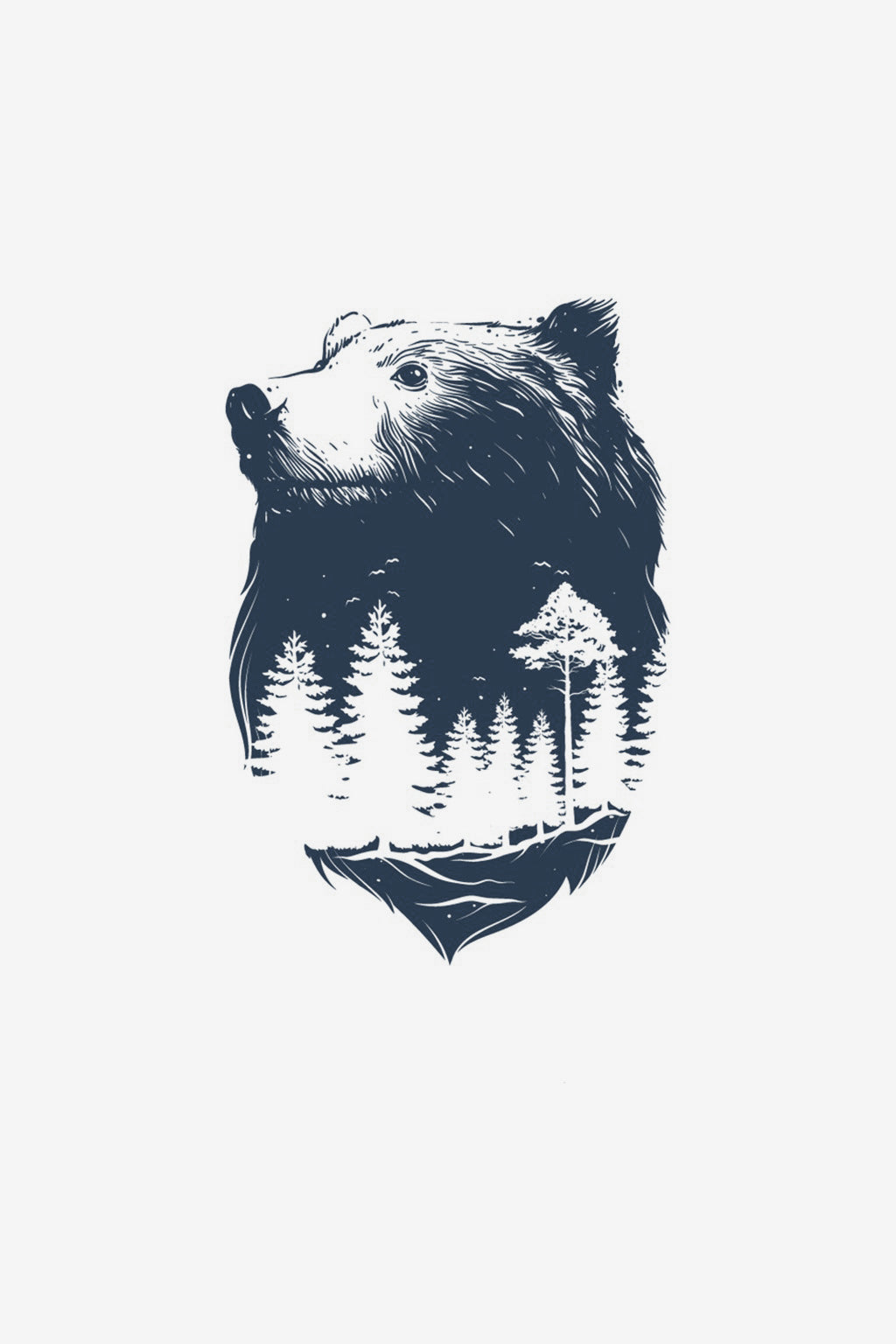 Bjørn