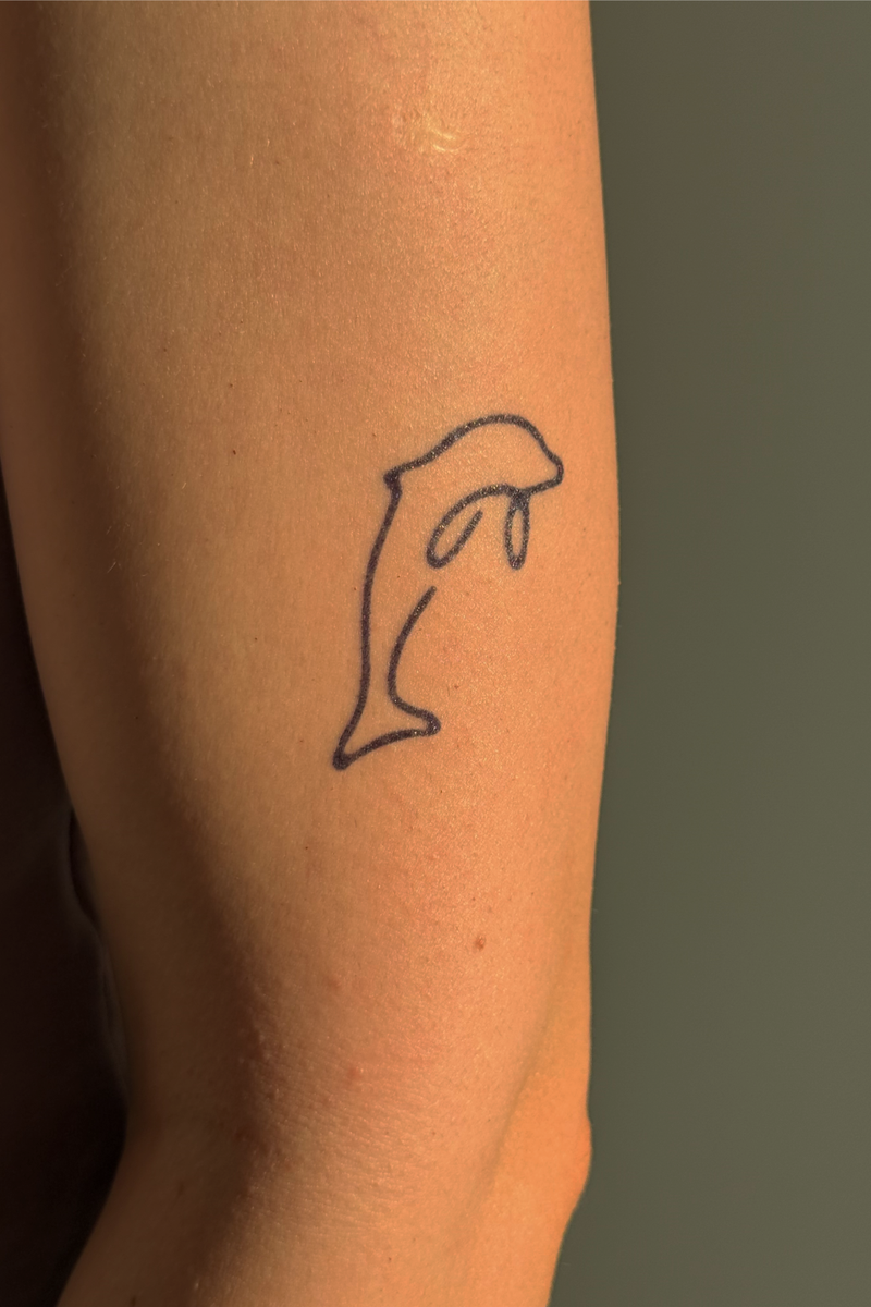 Delfin