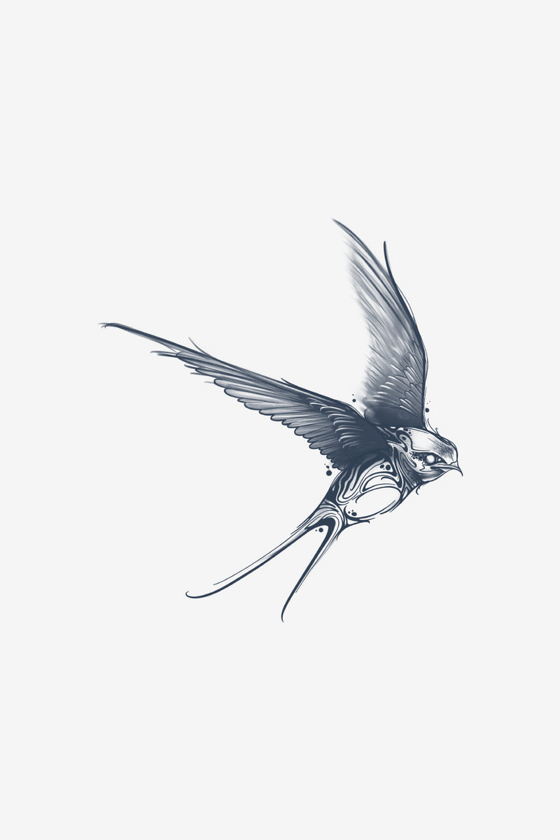 Spirit Traveller